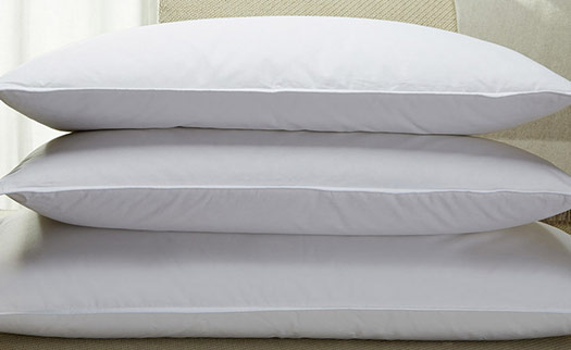 Down Pillow Hilton To Home Hotel Collection