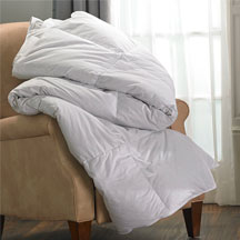 Hilton Comforters Image