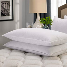 Hilton Pillows Image