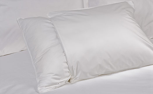 Pillow Protector 1