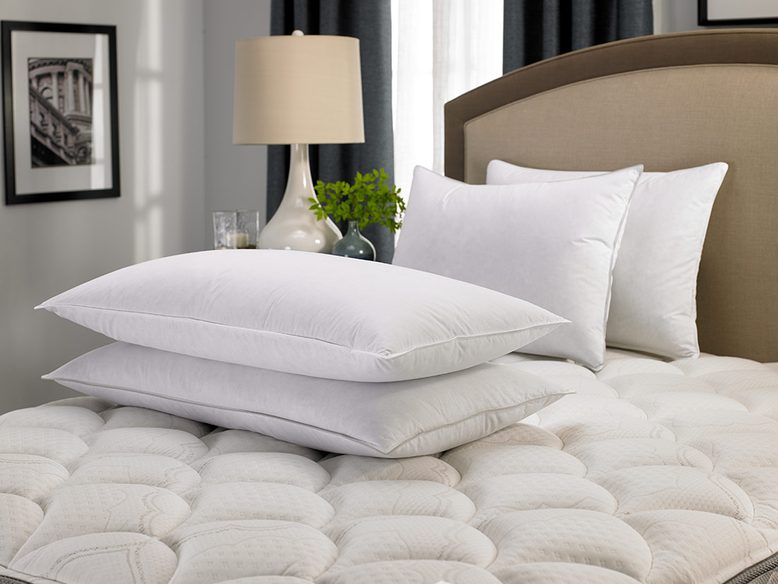 Down Dreams Classic Soft Pillow, Featured at Many Hotels 